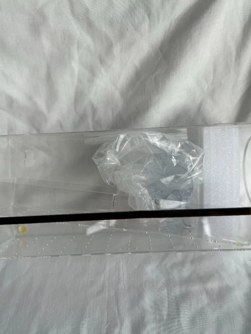 Nature's Hangout Clear Window Bird Feeder